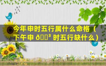 今年申时五行属什么命格（下午申 🌳 时五行缺什么）